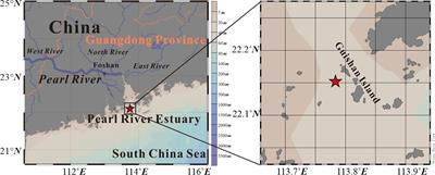 Impacts of Climate Change and Human Perturbations on Organic Carbon Burial in the Pearl River Estuary Over the Last Century